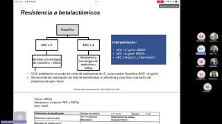 PROA Lectura Interpretada del Antibiograma en Grampositivos [upl. by Studdard]