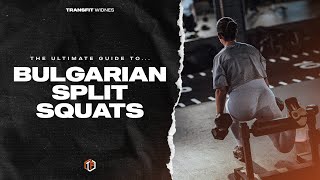 The Ultimate Guide to Bulgarian Split Squats [upl. by Eillat]