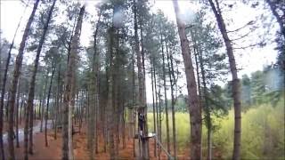 Go Ape Delamere [upl. by Behnken]