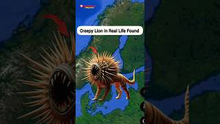 I Found a Very Strange Lion In Real Life On Google Map And Earth shorts mappoint [upl. by Oliva452]