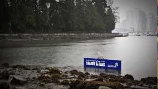 A Shark Sighting in Stanley Park [upl. by Henrieta]