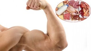 Quante proteine servono per mettere su muscolo [upl. by Ylremik250]