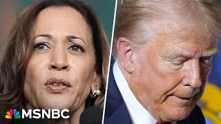 Harris leading Trump by six points in new 2024 polling [upl. by Aredna]