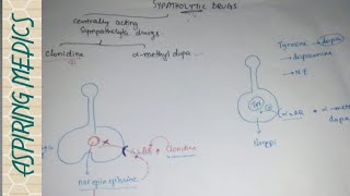 Centrally acting sympatholytic agents Vascular pharmacology [upl. by Angelica615]