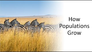 How Populations Grow [upl. by Nevet925]