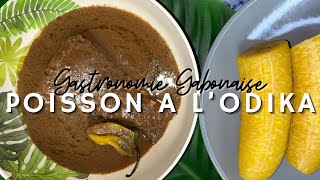 Poisson au chocolat odika  Gastronomie gabonaise  Cuisine du Gabon  Chocolat indigène [upl. by Beall994]