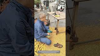 That Tubular Device Welded on the Iron Table Leg Means a Lot to Corn Shelling Work [upl. by Ailedroc]