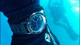 Top 5 Best Diver Watches For Men Buy 2024 [upl. by Narad]