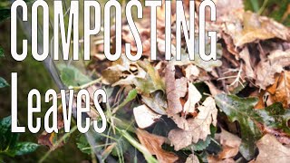 Composting Leaves [upl. by Gnok727]