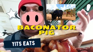 lowlight Bacon Binge Epic Highlights 🥓🔥 BaconMania FoodChallengeFT Yankee in the south [upl. by Narrad]