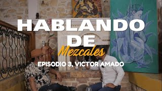 EPISODIO 3 HABLANDO DE MEZCALES [upl. by Irma691]