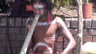 Aboriginal Didgeridoo Music at Circular Quay Sydney Australia [upl. by Matuag]