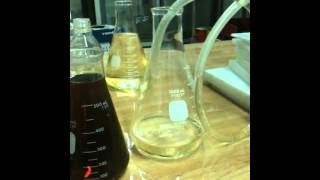 Crude Glycerin Filtration [upl. by Emma]