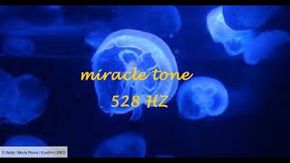 528Hz Frequence miraculeuseMusique pour sendormir et transformer votre viemiracle frequency [upl. by Eisyak]