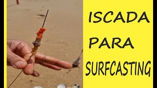 Iscada no Surfcasting pesca em Portugal [upl. by Rese]