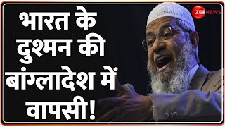 Bangladesh Political Crisis भारत के दुश्मन की बांग्लादेश में वापसी  Zakir Naik Peace TV News [upl. by Nauqat]