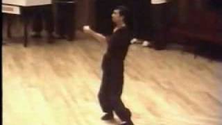 Wing Tsun  Leung Ting  Budo Zirkel 1976  Kiel [upl. by Anirtep]