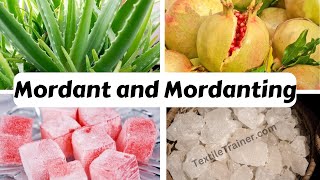 Latest Classification of Mordant and Mordanting in Simple 3 Way Natural Dye science [upl. by Dacie424]