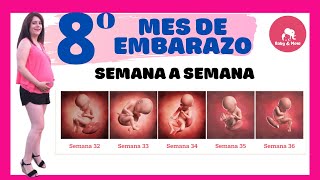 Octavo mes de embarazo así crece tu bebé 🤱Embarazo semana a semana👶 [upl. by Sateia]