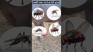 मक्खी मच्छर भगाने का देशी घरेलू जुगाड़ मक्खीमच्छरकाइलाज Flyremove cypermethrin ytshorts [upl. by Arlette359]