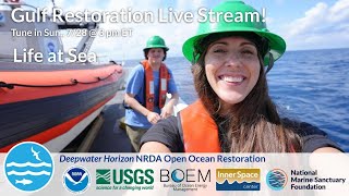 Gulf Restoration Livestream  Life at sea [upl. by Kyd780]