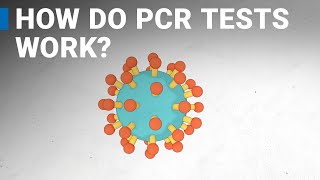 How do COVID19 tests work RTPCR explained [upl. by Tiertza466]