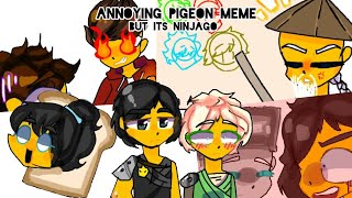 🐦Annoying Pigeon meme🐦NinjagoPrincesWillow1234 [upl. by Phiona583]