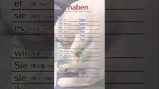 ドイツ語動詞の人称変化「haben」 shorts [upl. by Eelsel467]