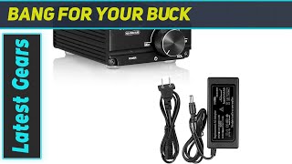 Unleash the Bass Nobsound NS03G Subwoofer Amp  19V Power Supply Bundle Review [upl. by Blatman23]