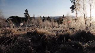 Aviemore Holiday With Loch Morlich [upl. by Einhapets976]