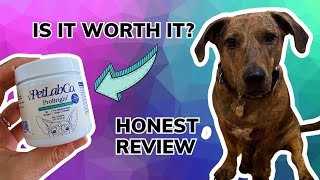 PetLab Co ProBright Dental Powder  Is it Worth it [upl. by Nrol632]