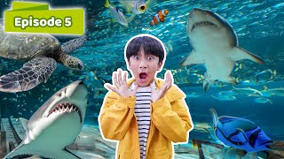 ZIYAN LIHAT IKANIKAN BESAR DI JAKARTA AQUARIUM  Belajar Bermain Seru Eps 6 [upl. by Nnanerak]