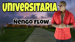 Ñengo Flow  Universitaria Letra 😎 [upl. by Roberson]