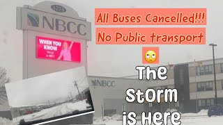 Buses got canceled  Gedi in first snow storm of Moncton New Brunswick Canada [upl. by Hamehseer787]