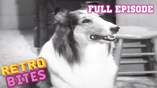 Lassie  The Bonnet  Full Episodes  Old Cartoons  Old Cartoons [upl. by Dwain]