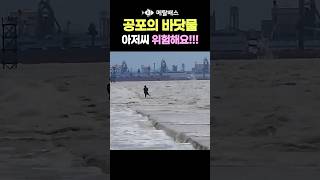 바닷물이 강물처럼 막 밀고 들어오는데 아저씨가 물에 걸어서 들어갔어요 보는 내내 심장 떨림 고온항 서해바다투망중 순간포착 castnet fishing pesca [upl. by Annehsat]