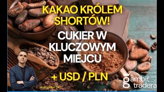 USDPLN KAKAO oraz CUKIER  PODSUMOWANIE ANALIZ I PLANY NA HANDEL [upl. by Nalyr]