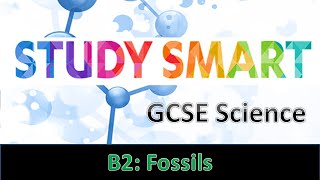 B2 Fossils EDEXCEL [upl. by Assena649]