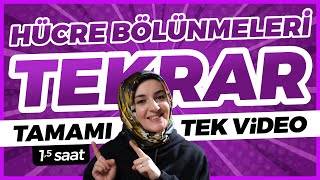 4 Hücre Bölünmeleri FULL TEKRAR  10 Sınıf Biyoloji  TYT Biyoloji Konu Anlatımı 4 [upl. by Vitale]