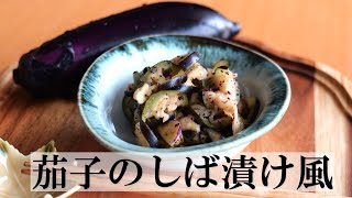 茄子のしば漬け風の作り方【簡単なすレシピ】浅漬け・お漬物 [upl. by Nalyk]