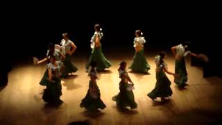 Baile de Rumba Gipsy Kings [upl. by Hairahcez708]