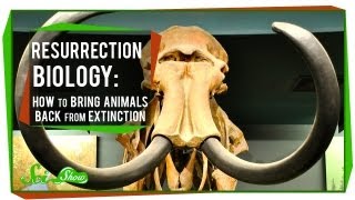 Resurrection Biology How to Bring Animals Back From Extinction [upl. by Wack]