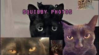 Some photos of Squibby [upl. by Pelagi]