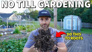 STOP Removing Old Roots From Your Garden Do This Instead [upl. by Suolkcin]