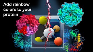 PyMOL How to add rainbow spectrum colors to protein using Pymol  PyMOL tutorial  Pymol studio [upl. by Aretta732]