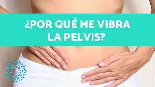 ¿VIBRACIONES en la PELVIS  Posibles causas y cómo SOLUCIONARLO [upl. by Mouldon546]