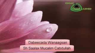 Sh Saalax Mucalim  Dabeecada Wanaagsan [upl. by Brady]