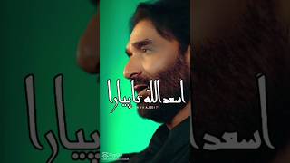 Abbas ka Nara hai almadar ka Nara nadeem sarwar noha Muhammad shakeel vlogs [upl. by Joiner468]