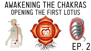 How to Awaken the Chakras Activate the Muladhara Root Chakra Ep 2 [upl. by Millford]