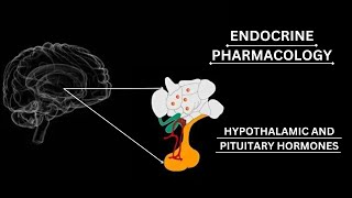 GonadotropinReleasing Hormone GnRH  AGONISTS AND ANTAGONISTS pharmacology katzung lippincot [upl. by Olsson908]